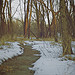 Iowa Wintertime Photowalk