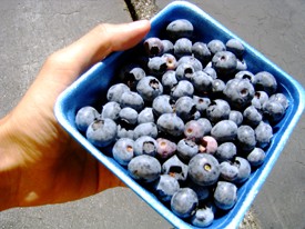 Blueberries from the Krause Bros. Farms stand at the Very Berry Fair